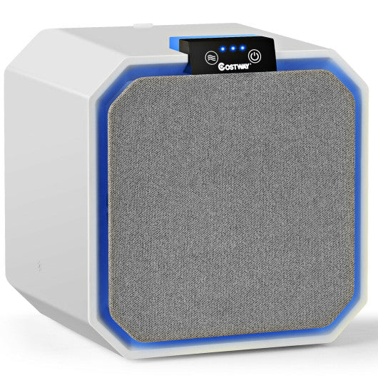 Desktop HEPA Air Purifier with 2-in-1 Filter