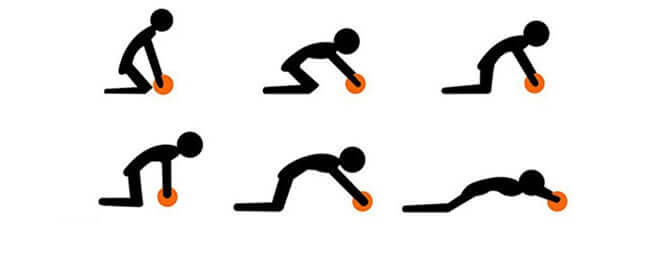 Abdominal Wheel Roller – Core Strength & Fitness Training Equipment