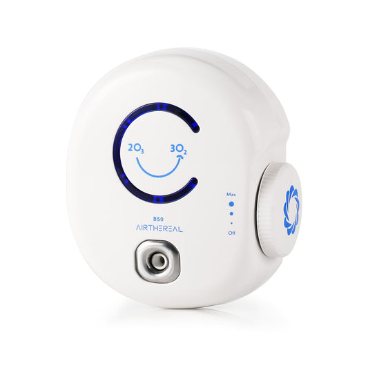 B50 Mini Ozone Generator