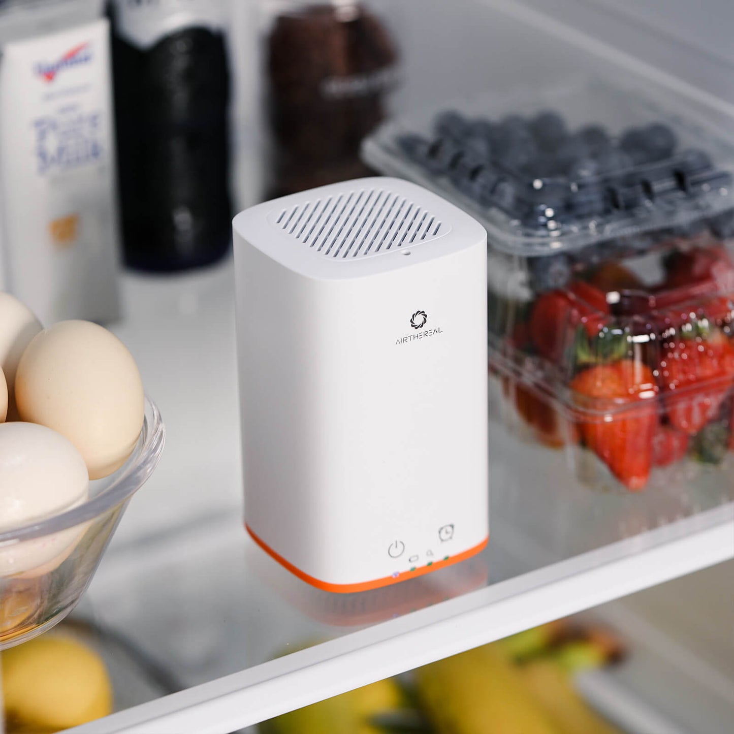 PA300-GO Portable Ozone Generator