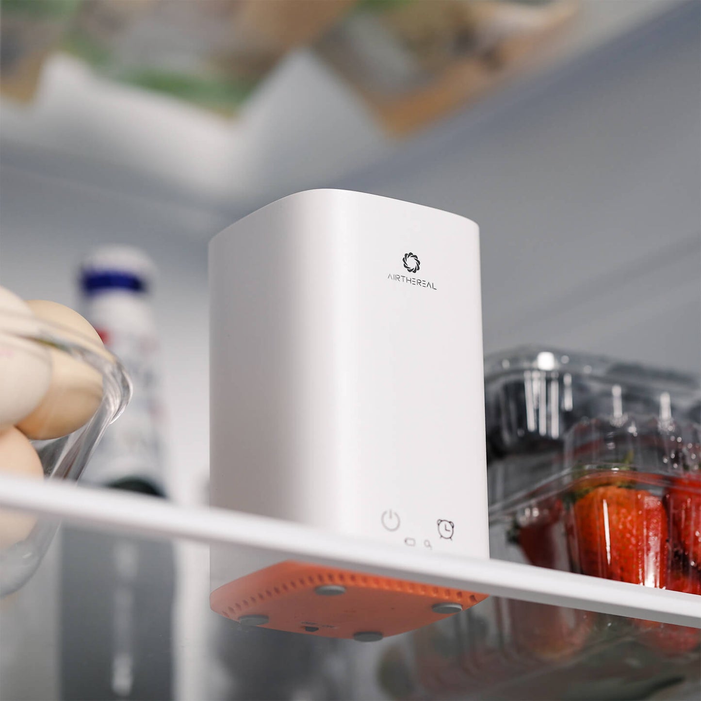 PA300-GO Portable Ozone Generator