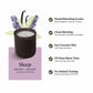 Sprig by Kohler Lavender & Vanilla Sleep Candle – 8 oz